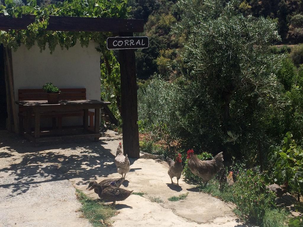 בית הארחה גואחר-סיירה 	Cortijo La Solana מראה חיצוני תמונה